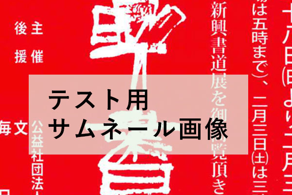 第65回記念 新興書道展
